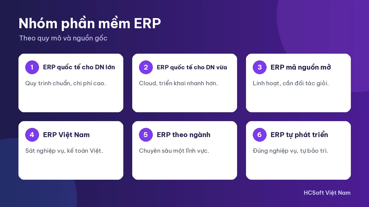 Các nhóm phần mềm ERP phổ biến